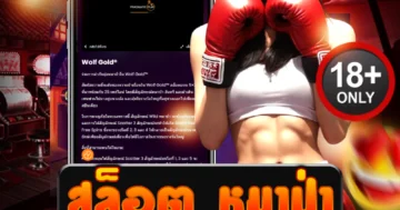 สล็อต หมาป่า แตกหนัก แจกจริง เล่นง่าย ได้เงินชัวร์ทุกเกม